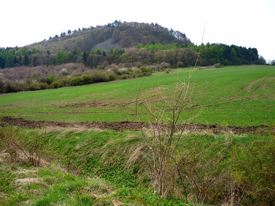 Blešenský vrch zvaný Blešňák 