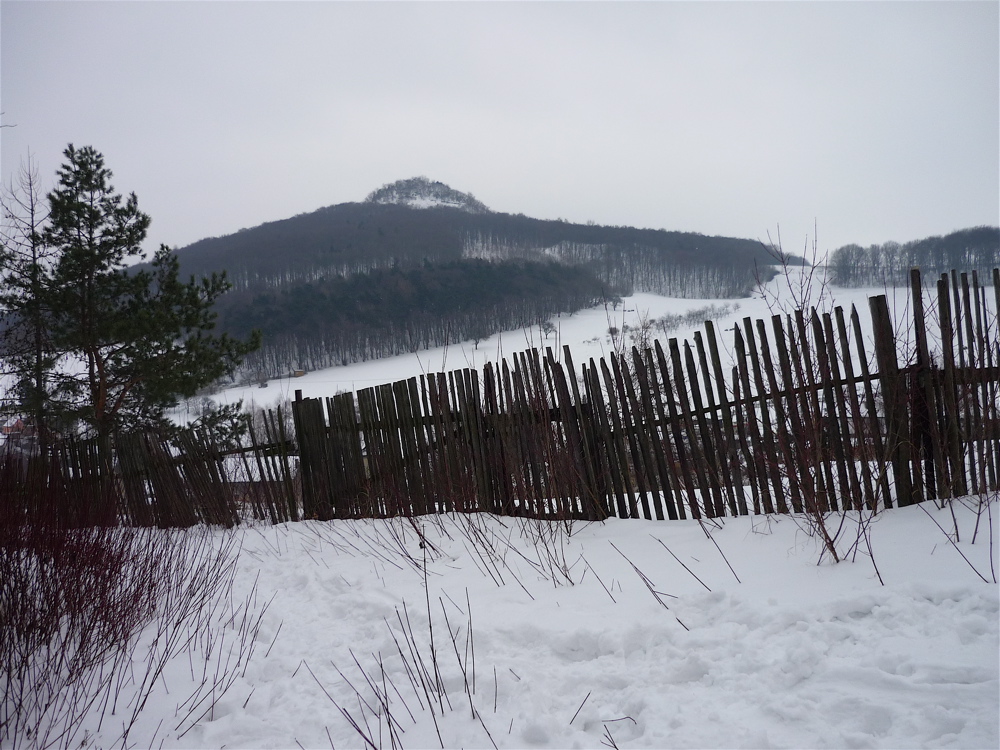 Ostrý (552 m) u Milešova.
