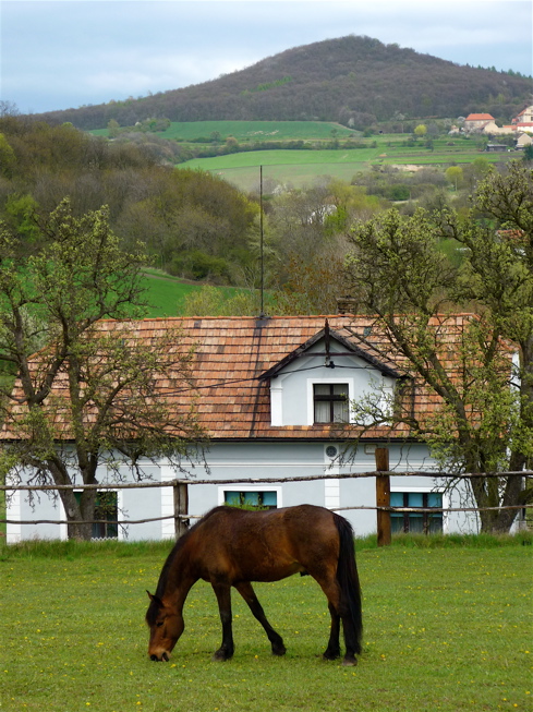Sutomský vrch (505 m) ze Sutomi.