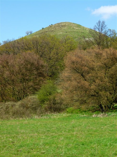 Holý vrch (446 m), tyčící se nad Sutomí.