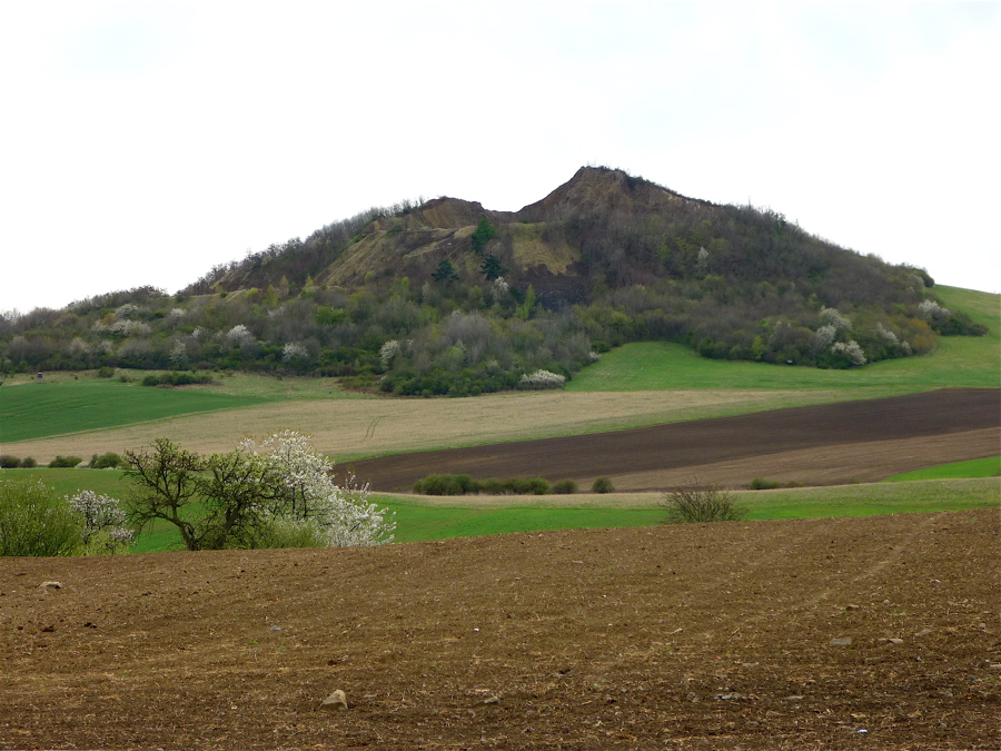 Vršetín (původně 469 m), vykotlaný čedičovým lomem.