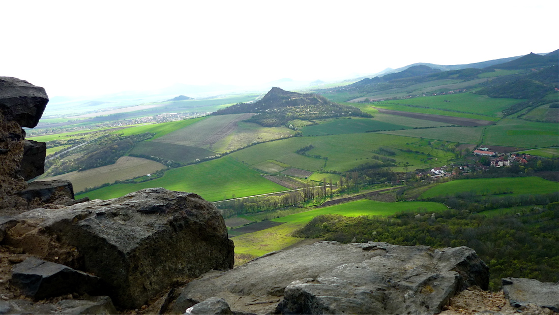 Vršetín z Koštálova.