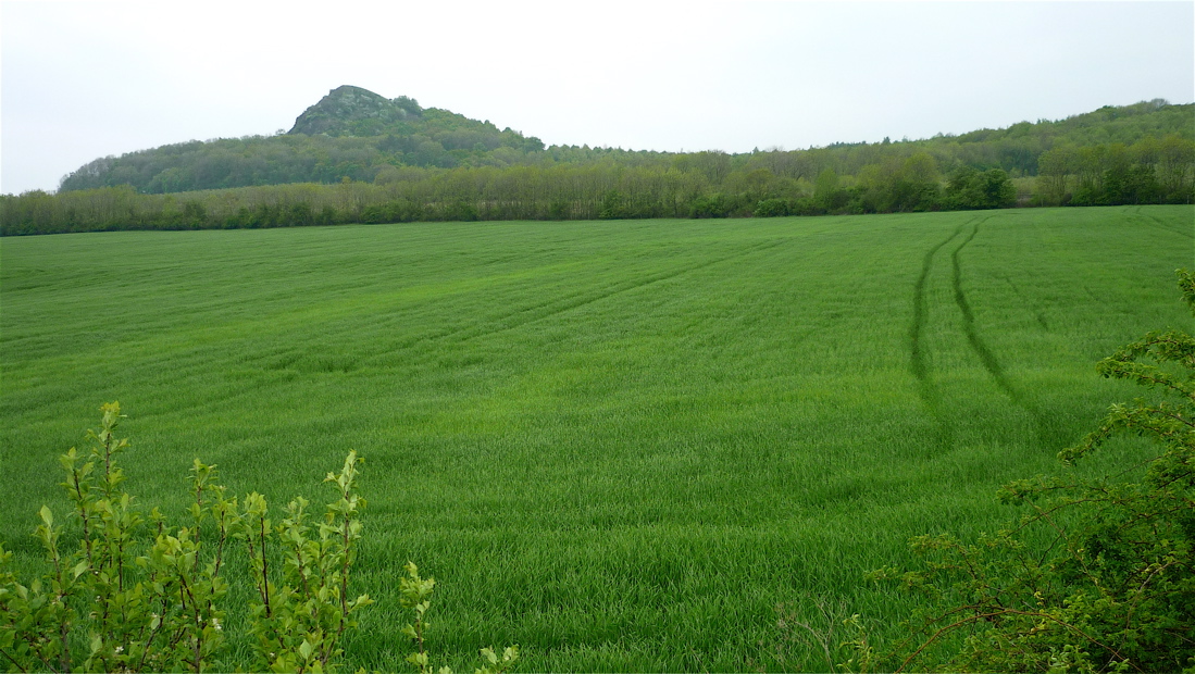 Plešivec, koleje.
