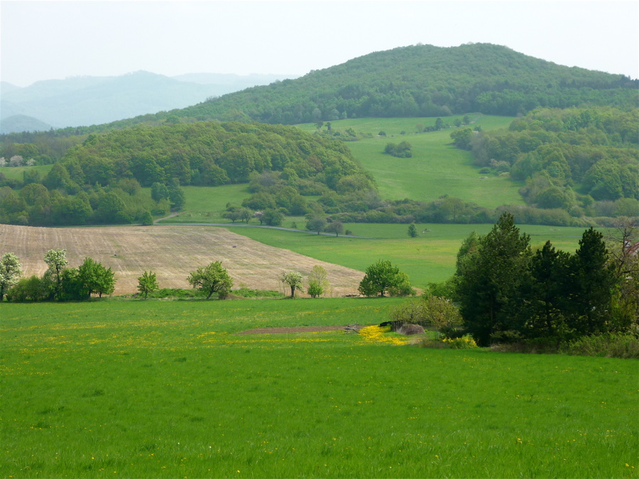 Kubačka (543 m), pohled od Kletečné.