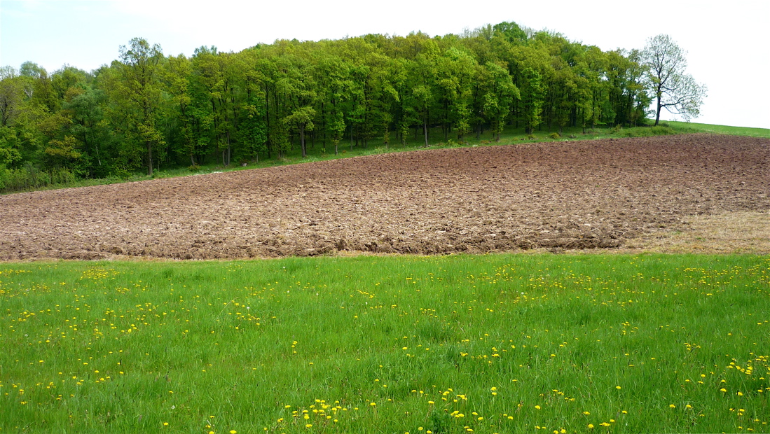 Sousední Újezdská hora (501 m).