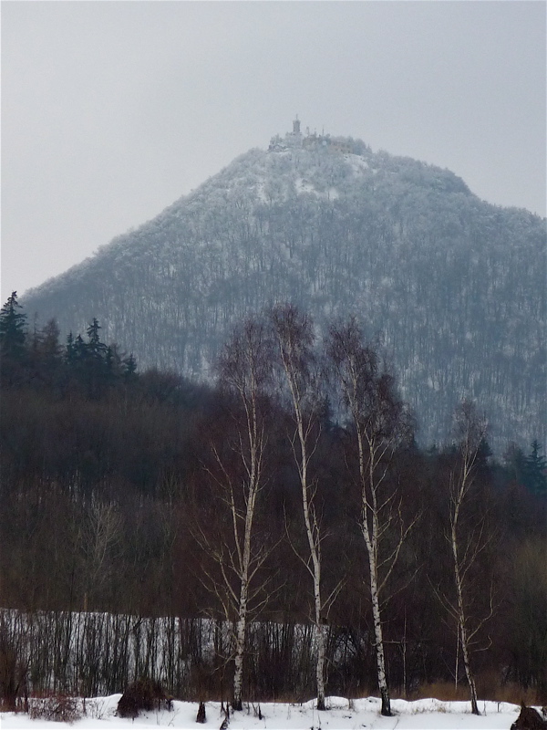 Čtyři Grácie... Nebo vlastně pět.