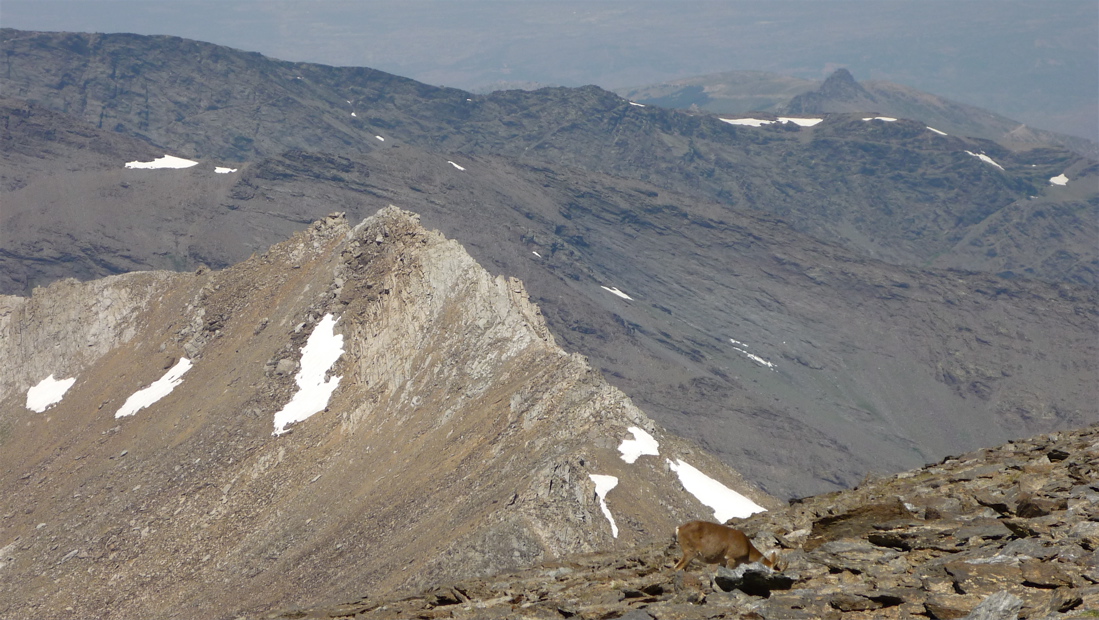 Zoom na vrcholek Puntal de la Caldera.