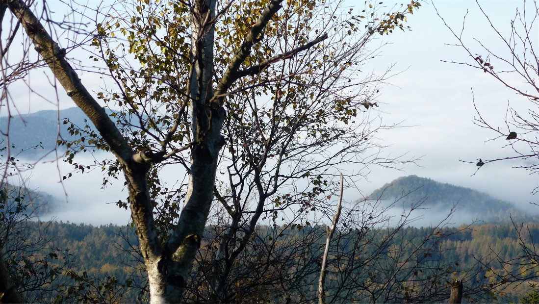 Podzim na Jedlové.