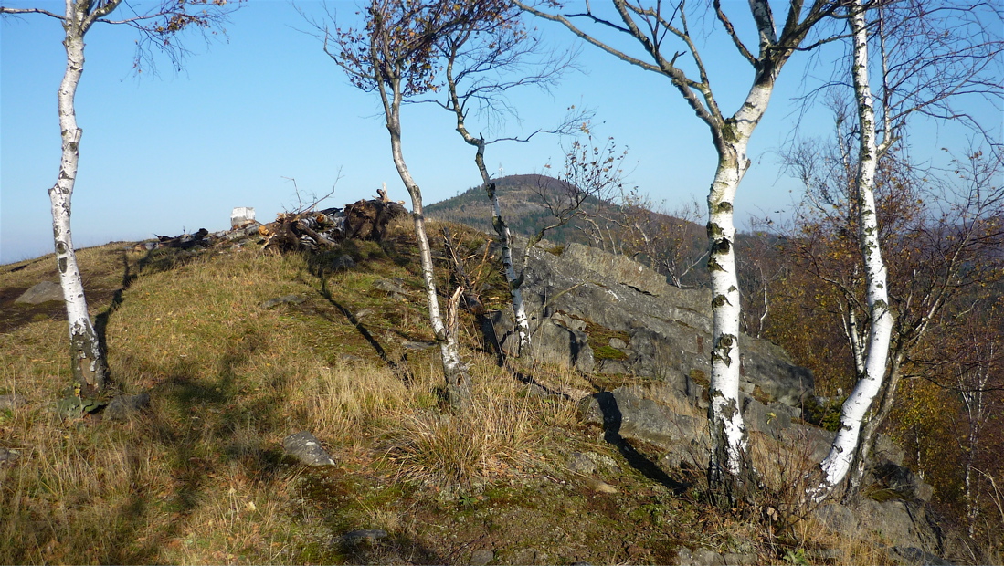 Břízky na vrcholu se tváří idylicky.