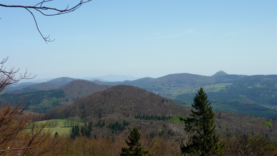 Ze Studence: Javorek (686 m), Javor (693 m), Malý Buk (712 m), Klíč.