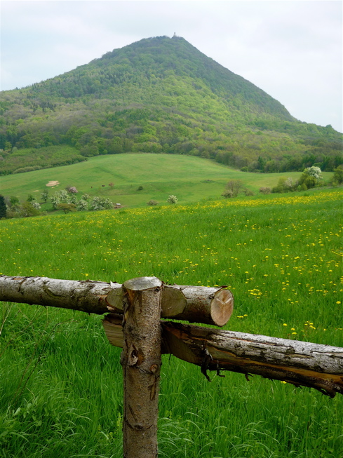 Pastviny nad Černčicemi.