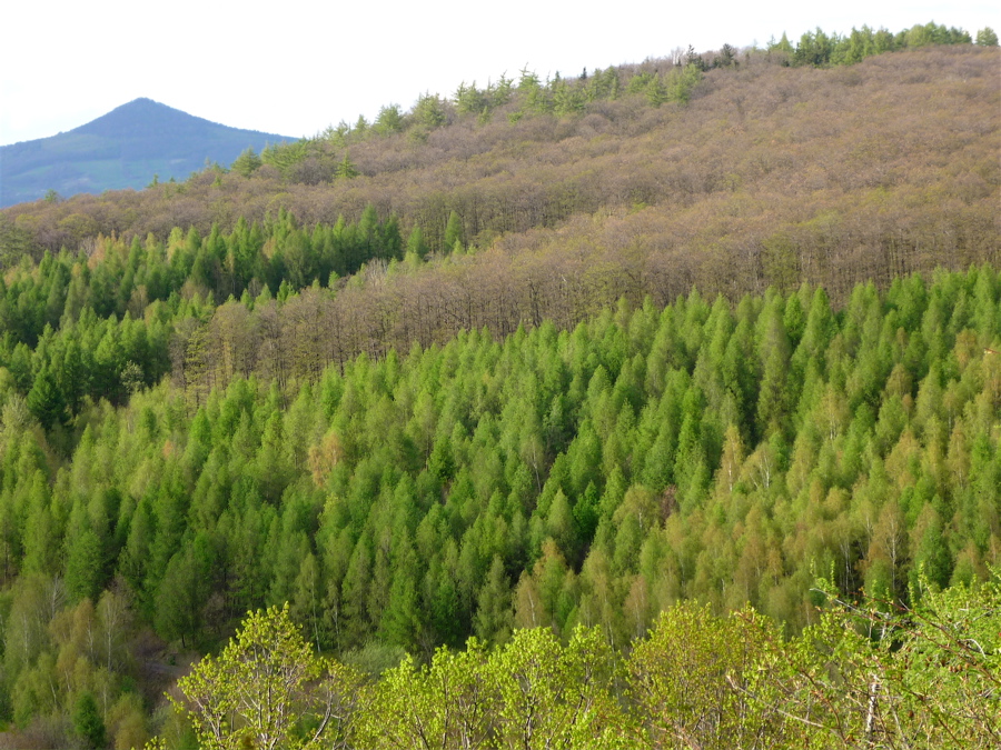 Z Košťálova.