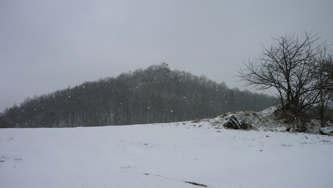 Vrch Klobouk (502 m) u Děčína.