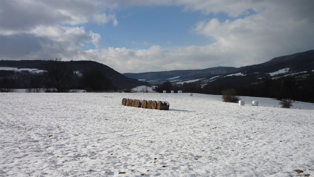Pohled na Výrovnu a pás Krušných hor od Lotharova vrchu.