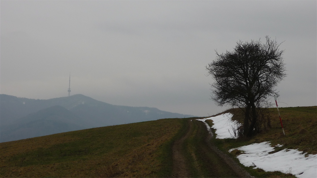 Buková hora a poněkud matoucí, do sebe skácené obzory.
