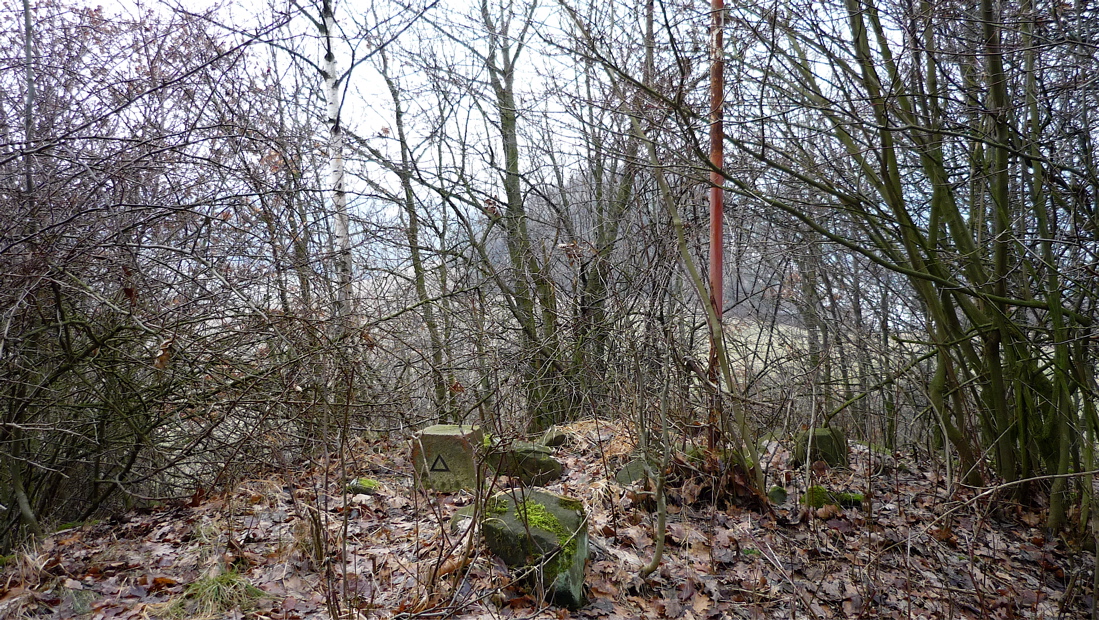 Tyhle zarostlé kóty mám moc rád. Petrův vrch, 437 m.
