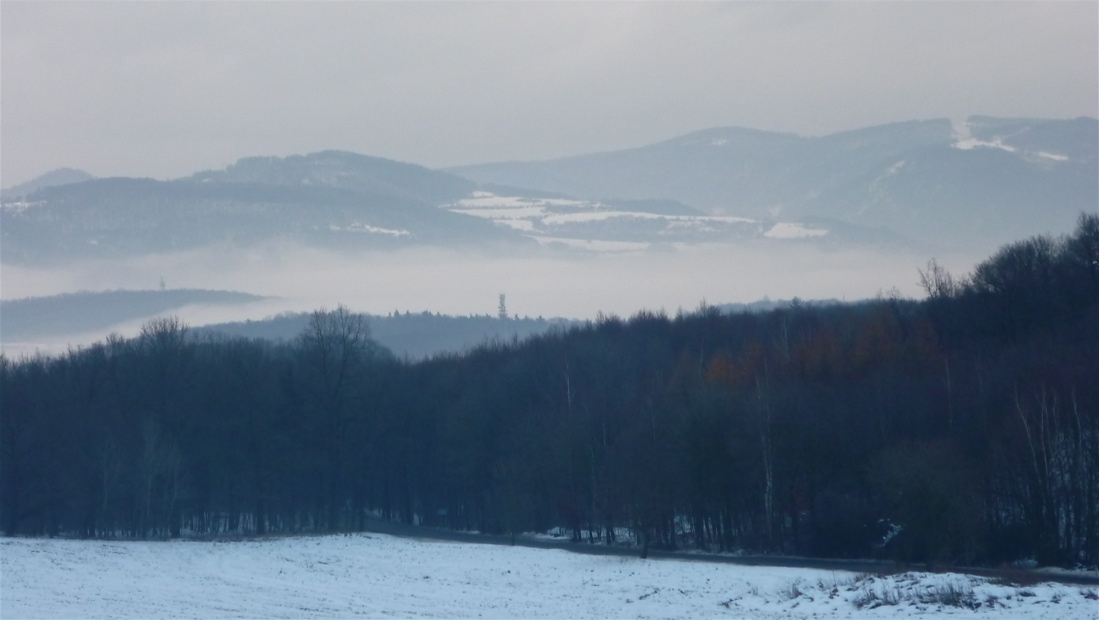 Radejčínská rozhledna a kopce na druhém břehu Labe.