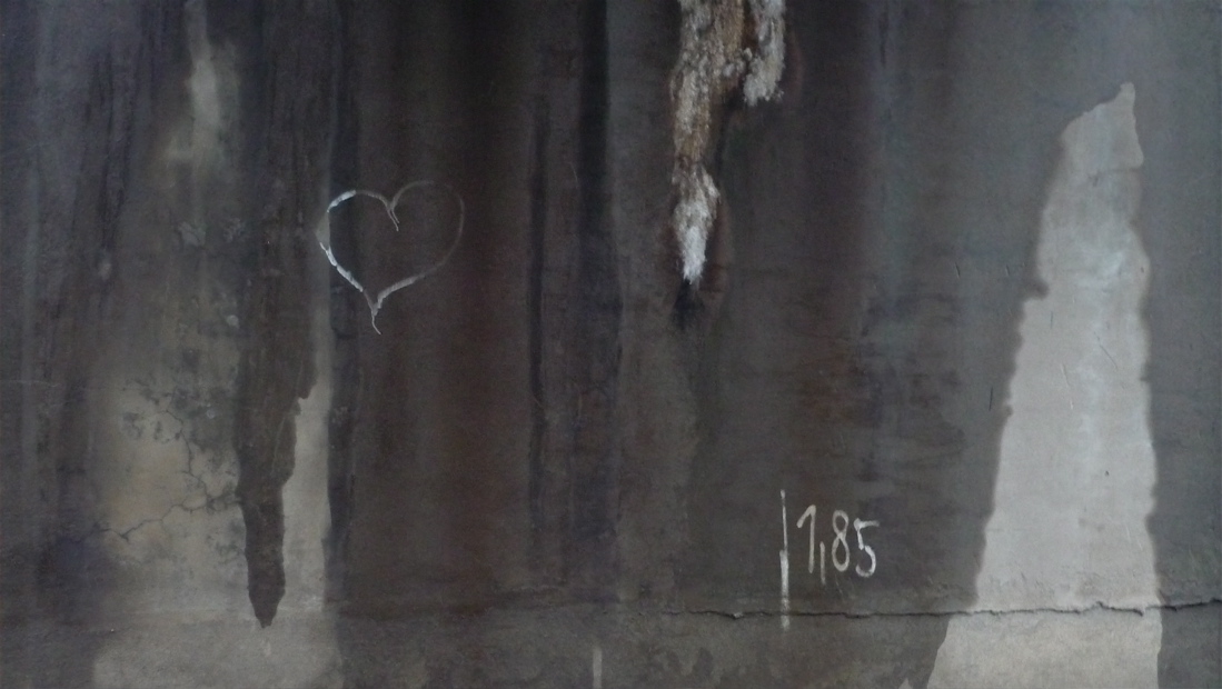 velemin2