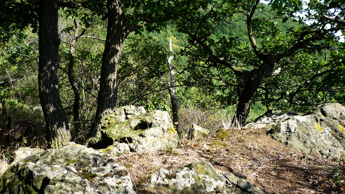 krkav4