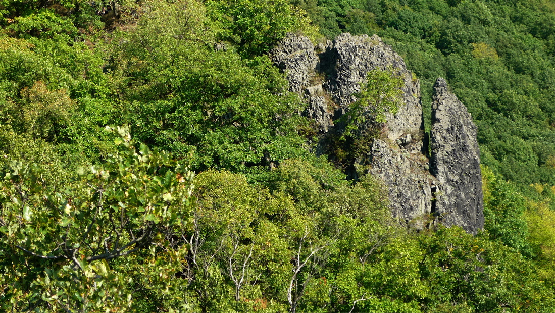 krkav13