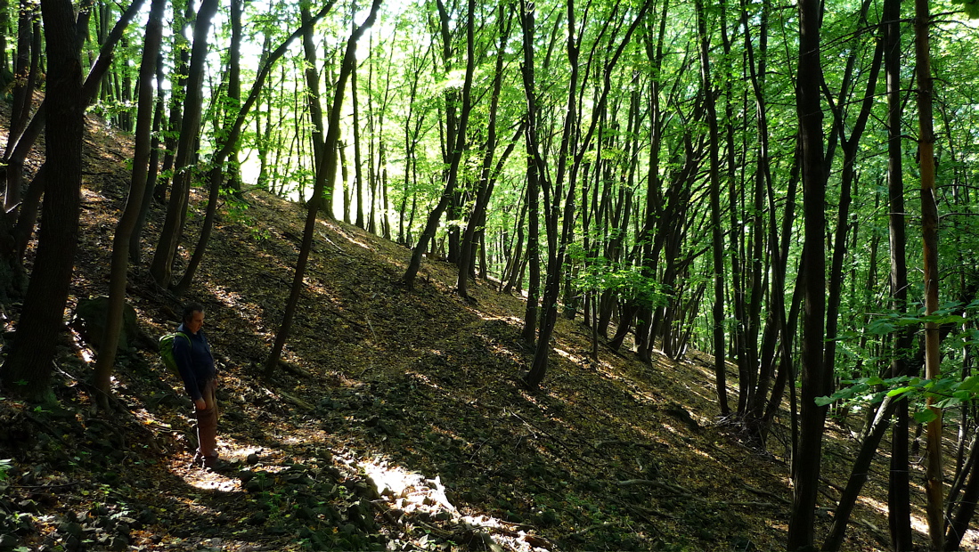 krkav15