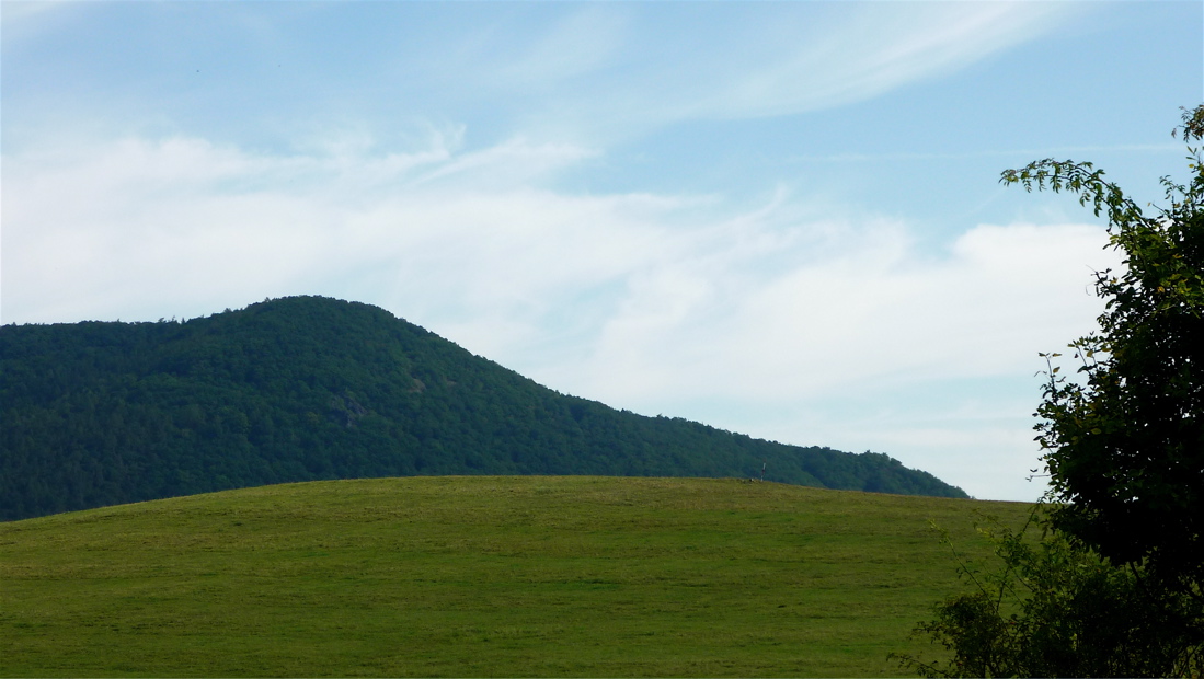 Čisté linie