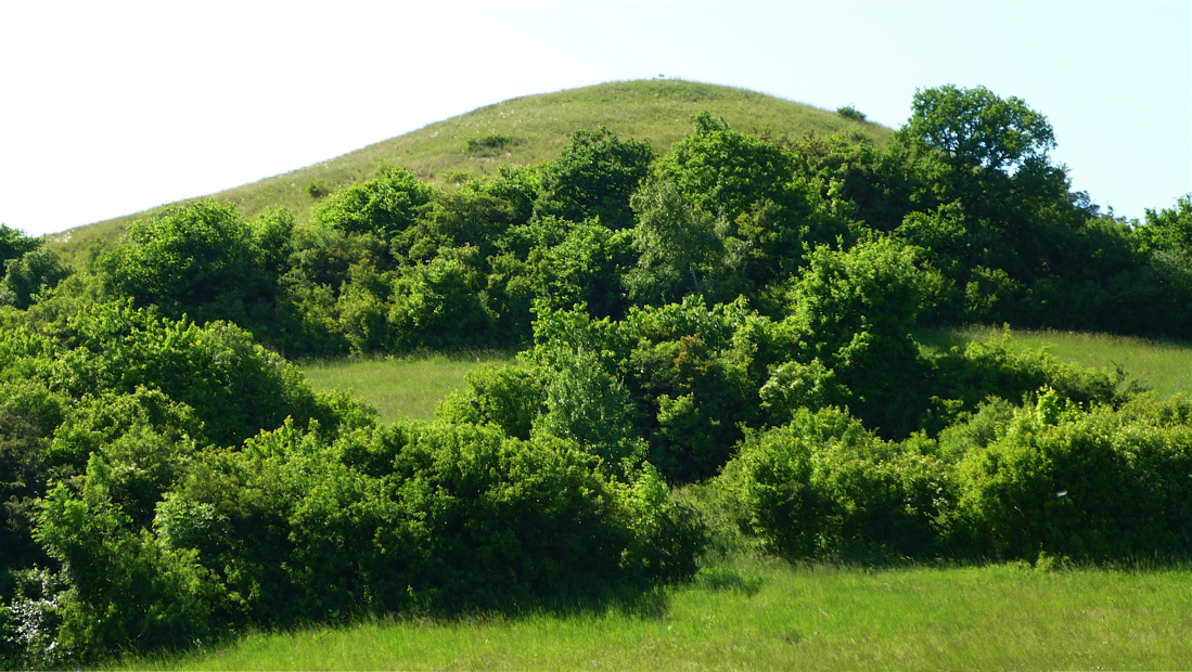 Holý vrch.