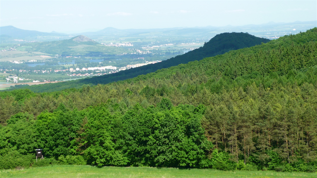 Ovčín (431 m) od Holého vrchu u Sutomi