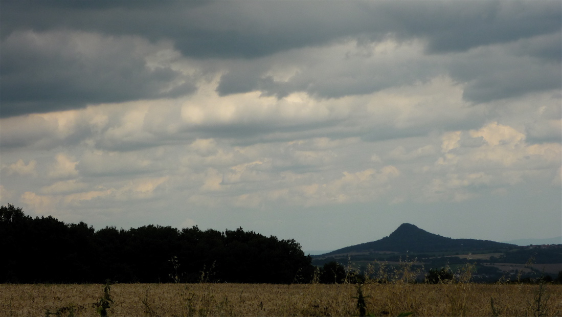 Ronov (552 m) od Sedla. Jinak též Ronberg, samozřejmě.