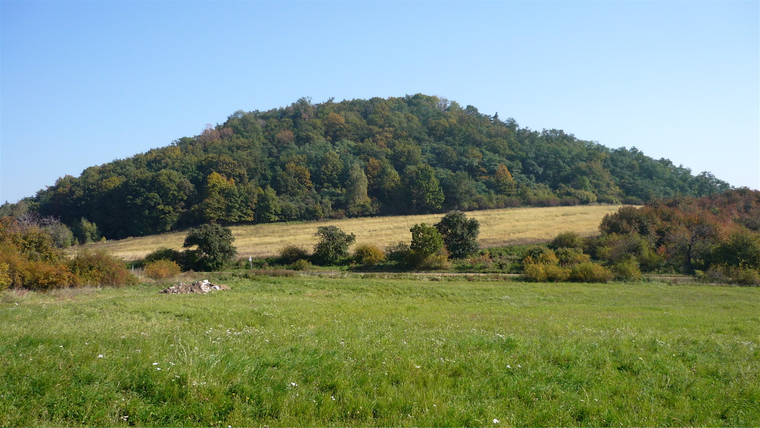 Vrch Liščín pod Křížovou horou