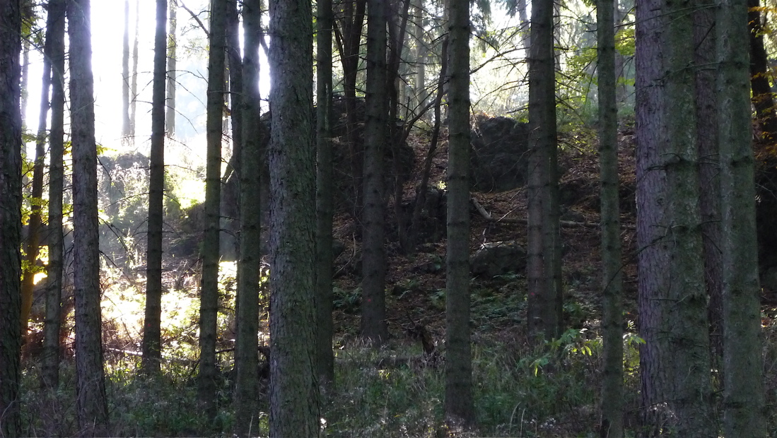 Trochu tajemně se tvářící masiv Dlouhého vrchu (655 m)