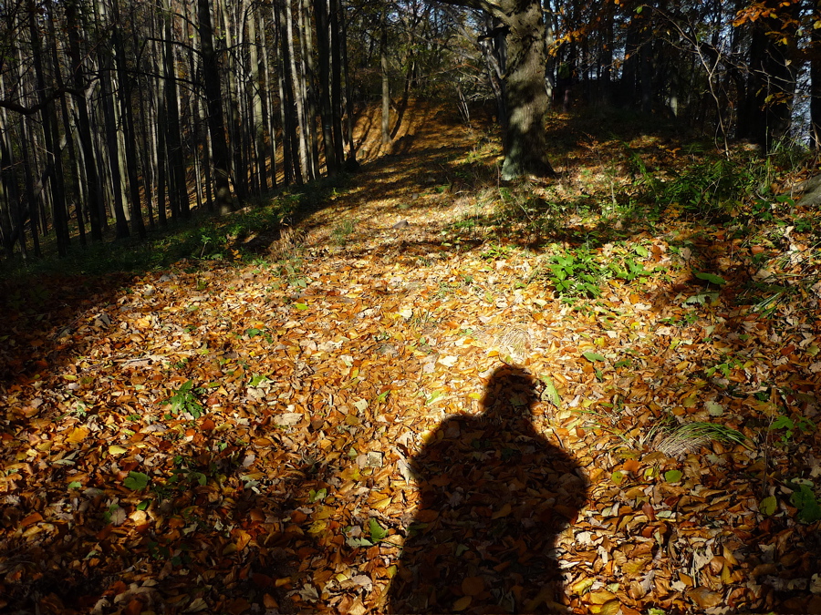 Sokolí hřeben je na mapě značen mimo jiné kótou 601 m.