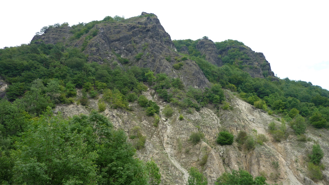 mojzir7