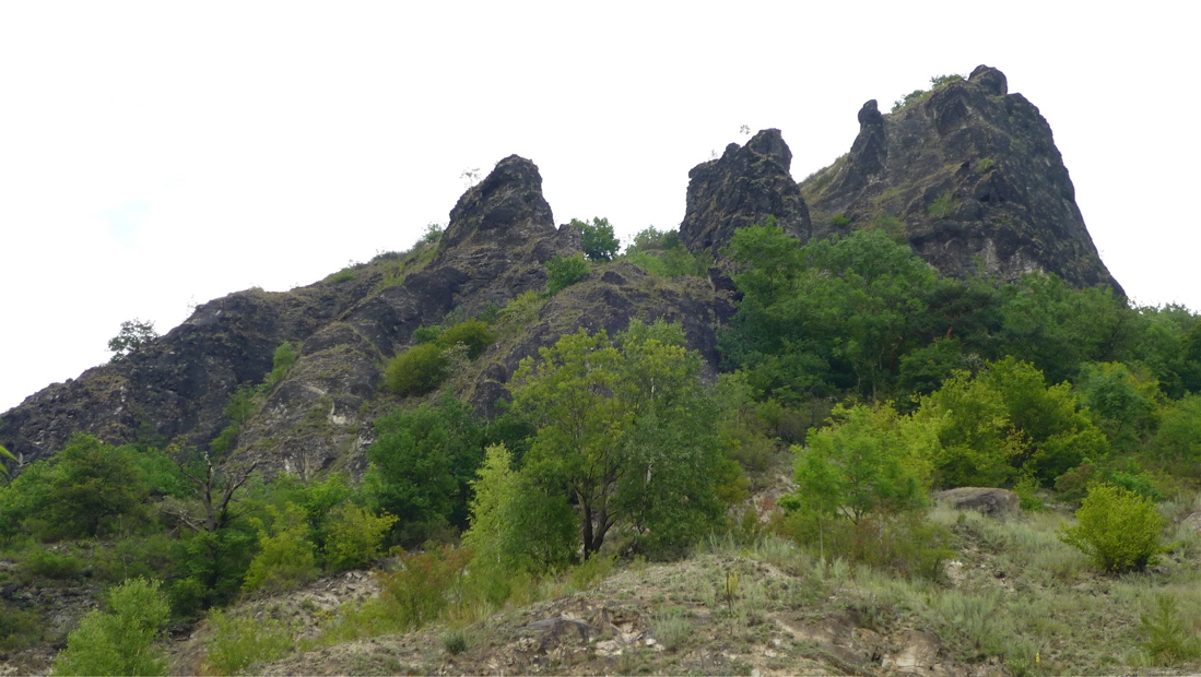 mojzir9