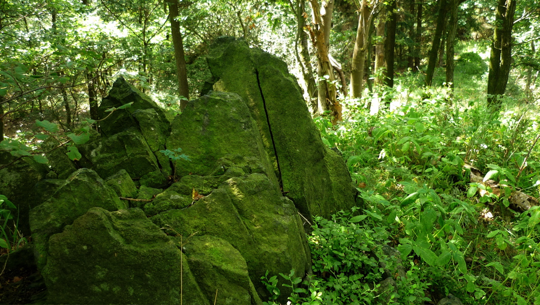 Sousední v lesích skrytý Vysoký kámen (494 m)