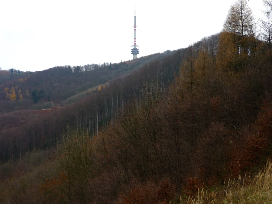Buková hora (683 m) od Stříbrného rohu.
