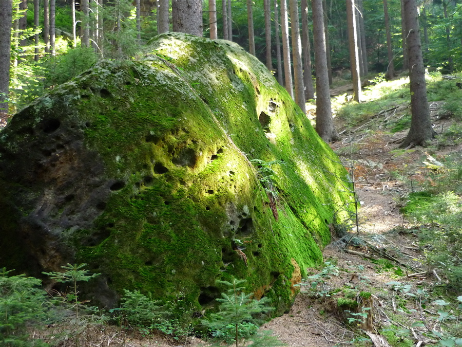 Kde tenhle trip začal, to už si nevzpomenu.