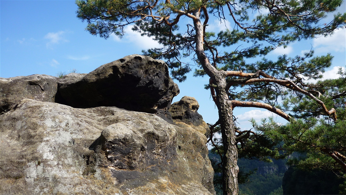 Na Kleiner Winterberg (499 m).