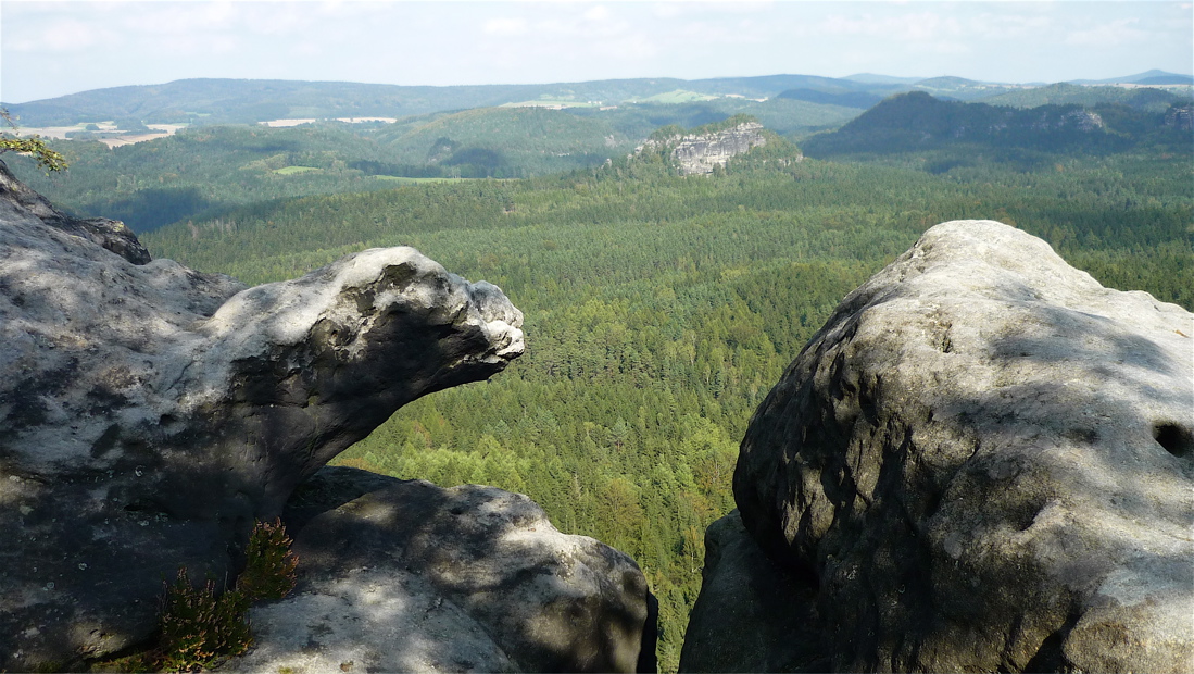 Želva a v průhledu Lorenzstein.