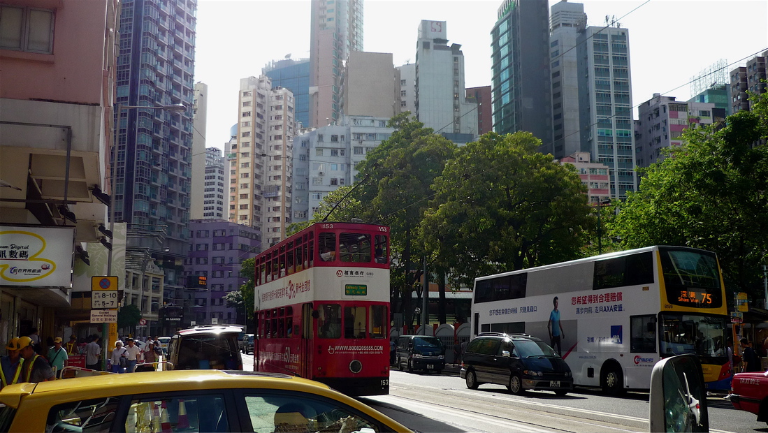 hong19