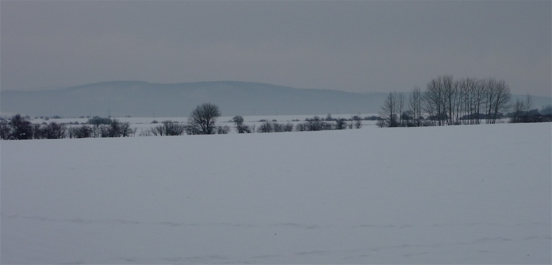 Krajina pod Plešivcem.