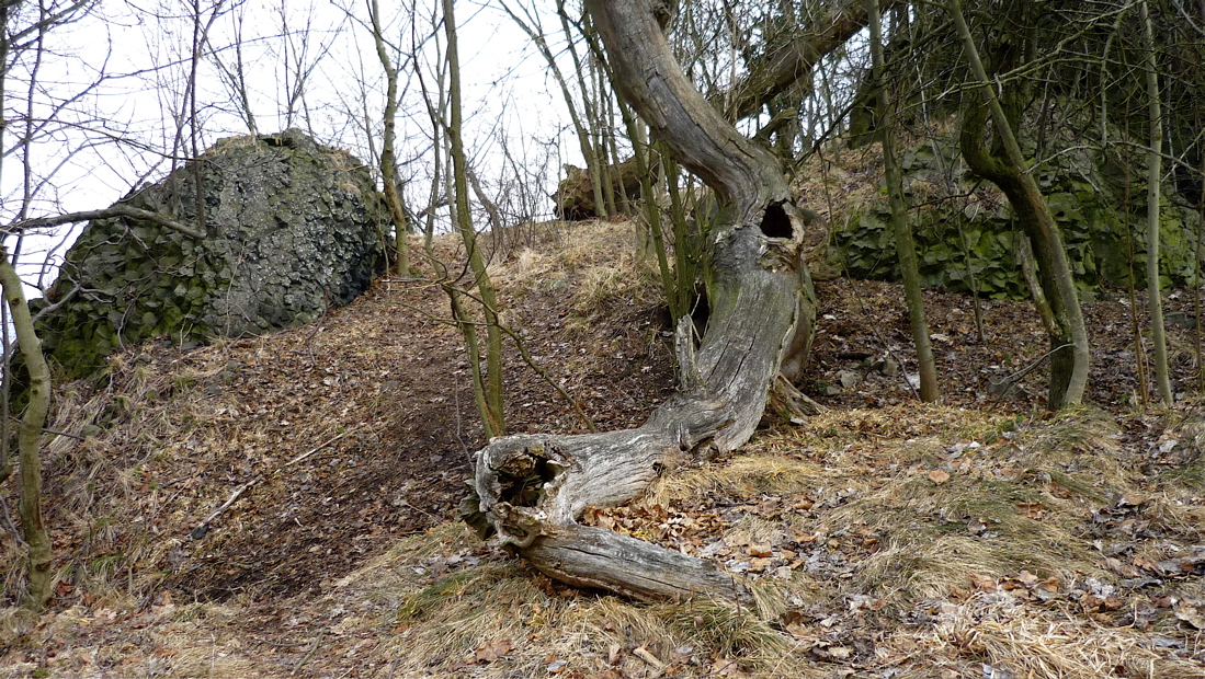 Sbohem, Panno