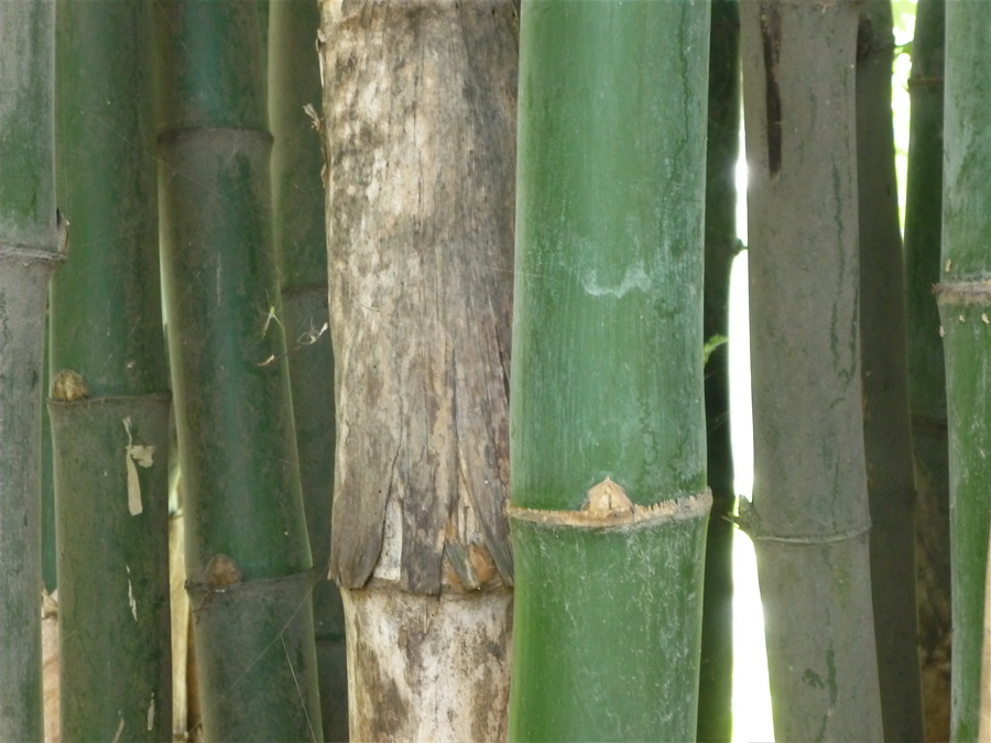 mn8