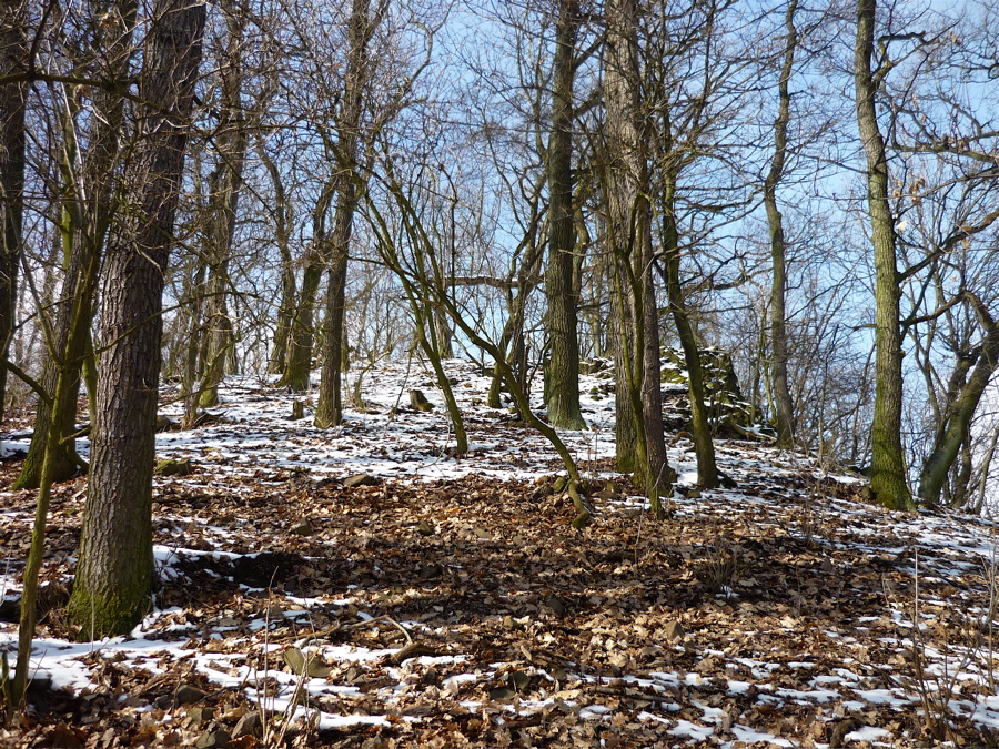 Vrchol na dohled.