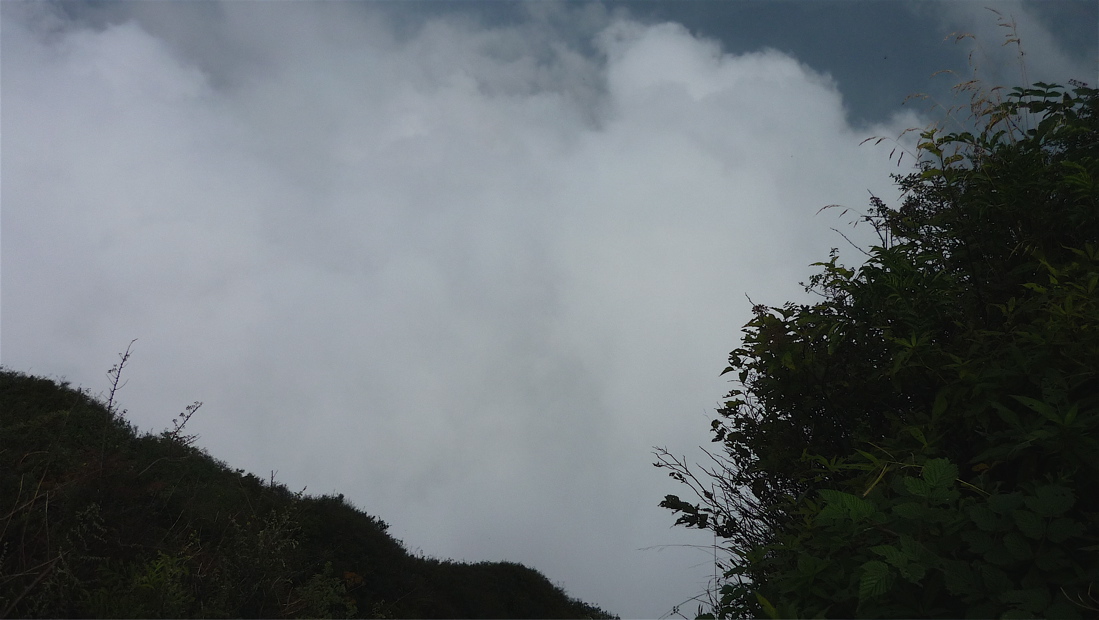 emei41