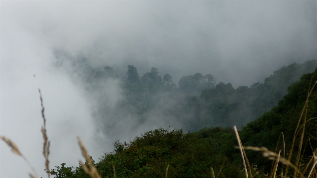 emei43