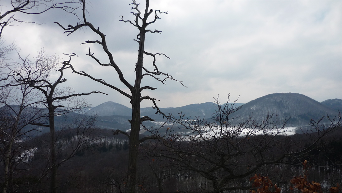 Lipská hora, Milešovský Kloc.