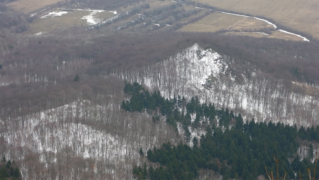 Kamenec z Milešovky.