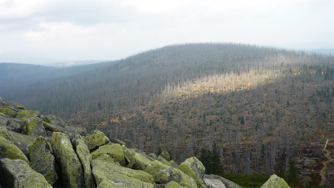sumava4