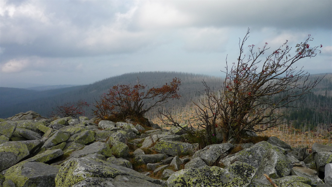 sumava5